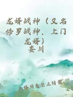 龙婿战神（又名修罗战神，上门龙婿）