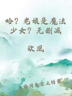 哈？老娘是魔法少女？无删减