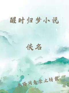 醒时归梦小说