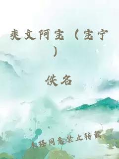 爽文阿宝（宝宁）