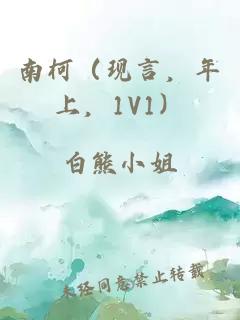 南柯（现言，年上，1V1）