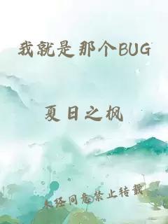 我就是那个BUG