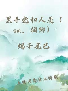 黑手党和人质（sm，捆绑）