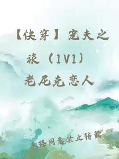 【快穿】宠夫之旅（1V1）