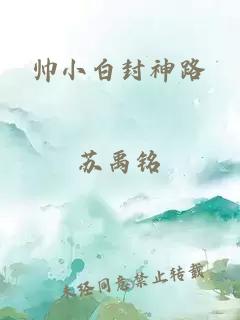 帅小白封神路