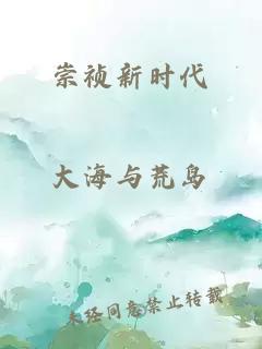 崇祯新时代